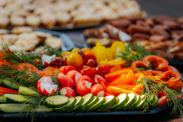 A vibrant vegetable platter featuring sliced cucumbers, bell peppers, cherry tomatoes, radishes, and fresh dill, arranged neatly on a tray.