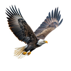 Naklejka premium Bald eagle soaring gracefully in clear sky with wings spread wide isolated on transparent background, cutout PNG