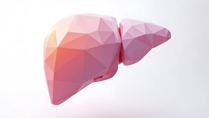 Low polygonal model of a human liver organ