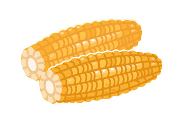 Yellow corn, husked and cooked corn.