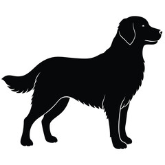 Silhouette of a golden retriever dog standing sideways in black and white with detail
