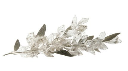 Crystal-coated sage sprig, Transparent background, PNG file