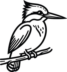 Kingfisher bird line art vector illustration isolated on a white background