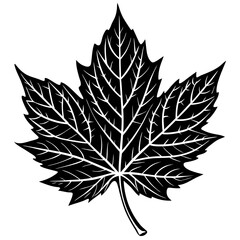 Black and white vector illustration of a detailed maple leaf for autumn and nature designs use