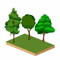 Isometric Illustration of Three Trees on Grass PatchVector