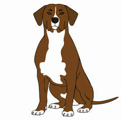 Brown and White Dog SittingVector
