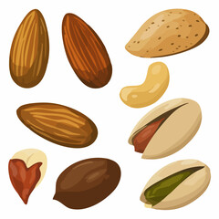 Assorted Nuts IllustrationVector