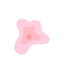 Skin Cell 