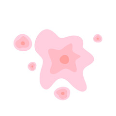 Skin Cell 