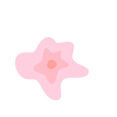 Skin Cell 