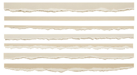 Torn Paper Edges Collection of Realistic Ripped Paper Textures