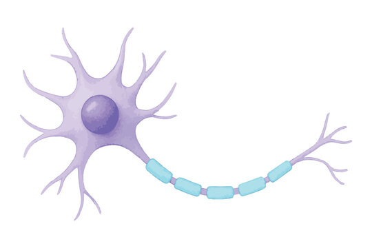 neuron cell with purple and blue details, diagram of nerve structure with axon and dendrites, brain science, nervous system icon set