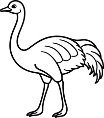 Obraz premium vector illustration of an ostrich