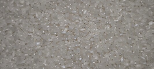 Close up of japanese rice. Japanese rice grains for background. Sushi Ingredients.