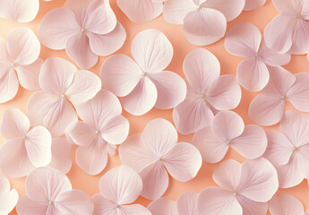 Hydrangea flowers macro background with soft pastel pink petals