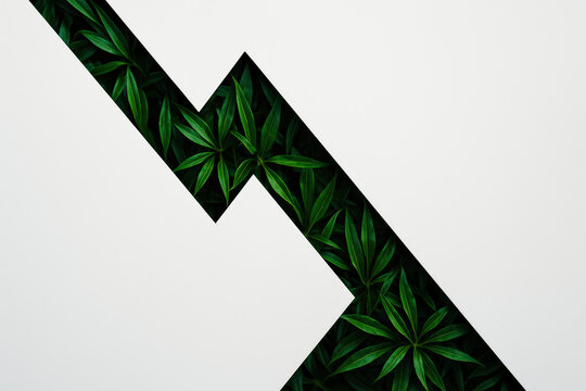 A sharp contrast between growth and decline is symbolized by vibrant green leaves cutting through a clean white background