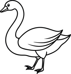 Simple Line Drawing of a Goose  A Clean Illustration of a Swan