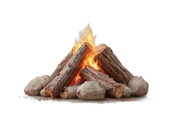 Crackling campfire: burning logs surrounded by stones