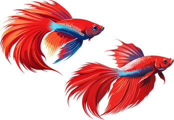 Fototapeta premium red betta fish with long, flowing fins against a plain white backdrop