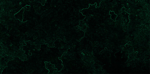 Abstract dark, organic texture featuring faint, glowing green lines tracing vein-like or neural pathways over a deep black background.  Microscopic biological network, smoke tendrils, energy flowing 