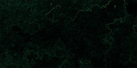 Abstract dark, organic texture featuring faint, glowing green lines tracing vein-like or neural pathways over a deep black background.  Microscopic biological network, smoke tendrils, energy flowing 