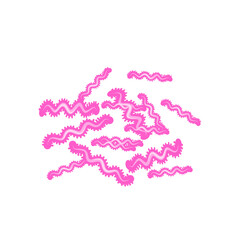 Tuberculosis Bacteria 