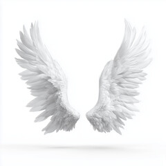 Fototapeta premium Pair of Elegant White Angel Wings , PNG isolated cut out image