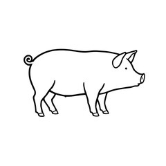 vector illustration of a pig