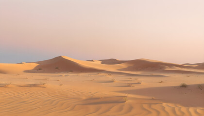 sand dunes in the desert