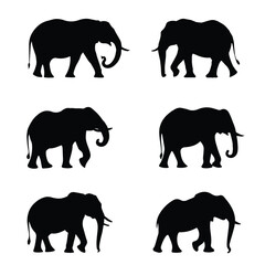 Elephant silhouette set collection designs		