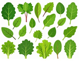 Collection Of Green Leafy Vegetables