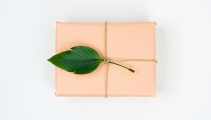 Gift Box With Leaf Natural Present Package Wrapping Eco Friendly Minimalist Design