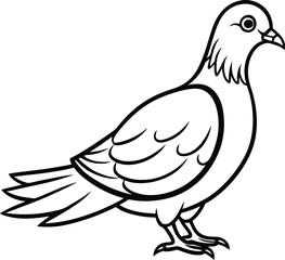 Obraz premium Dove black silhouette on white background 