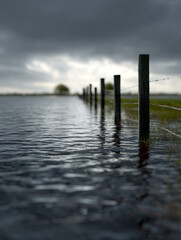 flooded field with submerged fence posts under a dim sky
