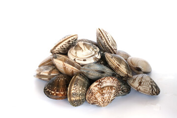 Clams on white background. Seafood.