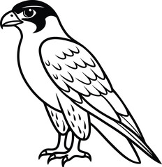 Fototapeta premium Falcon black silhouette on white background 