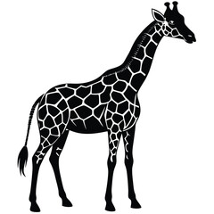 Naklejka premium Black and white vector illustration of a graceful african giraffe in silhouette pose