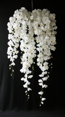 White Orchids Hanging from a Floating Arch