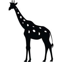Fototapeta premium Giraffe Silhouette Isolated Vector Clipart for Creative Design