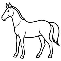 Obraz premium Horse Outline Drawing for Coloring Page and Vector Graphic