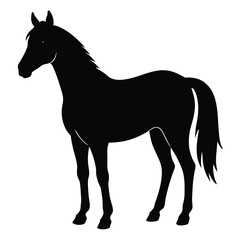 Obraz premium Elegant black horse silhouette illustration against a clean white background for design projects