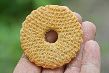 hand holds food from one round brown cookies in the street