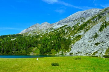 Meadow at the shore of Karwassersee lake bellow the mountains in High Tauern, Central Eastern Alps, Austria