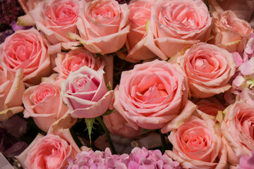 Fresh orange flowers for background