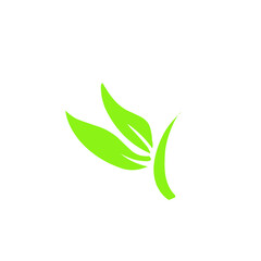 leaf logo vector design