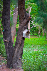 Squirrel house in Queen Sirikit Park Bangkok Thailand.