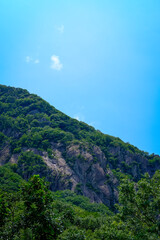Rocky Mountain Slope Covered with Forest under Clear Blue Sky