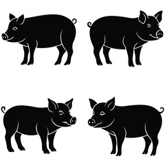 pig vector