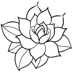 lotus flower isolated on white