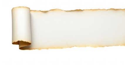 Unveiling the Scroll: An ancient parchment scroll, its edges singed by time, unfurls to reveal a pristine expanse, a testament to history, waiting to be written. 